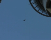 Bungee Jumping: una scarica di adrenalina