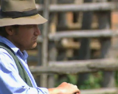 Buttero: i cowboy della Maremma