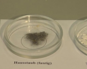 Polvere: nemico invisibile