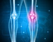 Video: Ossa e articolazioni