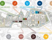 Expo Milano 2015 - La struttura tematica e i cluster
