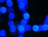 Il Bosone di Higgs esiste: scoperta la particella all’origine dell’Universo