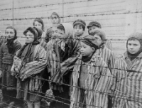 27 Gennaio: una giornata per non dimenticare la Shoah