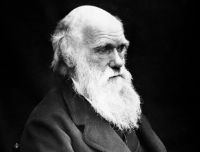 La teoria dell'evoluzione di Darwin spiegata in modo semplice