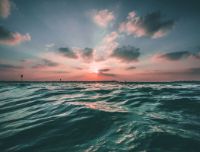 Acidificazione degli oceani: cause, conseguenze e strategie di mitigazione