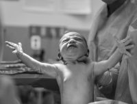 Il movimento per l'estinzione umana: l'antinatalismo per salvare il pianeta