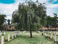 I cimiteri più belli in Italia e nel mondo