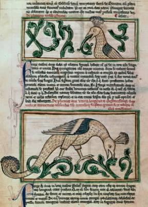Bestiario . Pagina miniata di un bestiario del sec. XII con due raffigurazioni della fenice, il favoloso uccello (Londra, British Museum).Londra, British Museum