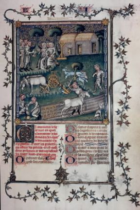 Agricoltura. Miniatura francese del sec. XIV in cui sono raffigurati attrezzi a mano come l'erpice e l'aratro a ruote.De Agostini Picture Library