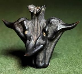 Castagna d'acqua. Frutto di Trapa natans.De Agostini Picture Library/ Archivio B