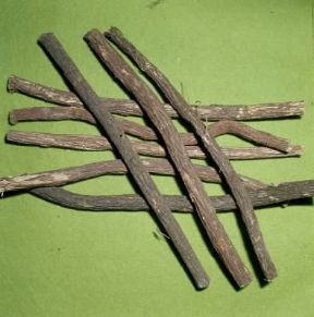 Liquirizia. Radici essiccate.De Agostini Picture Library