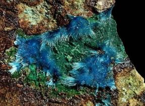 Cianotrichite. De Agostini Picture Library/C. Bevilacqua