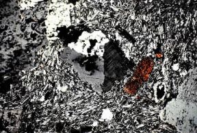 Feldspati. Campione di feldspato potassico geminato in una trachite.De Agostini Picture Library/C. Bevilacqua