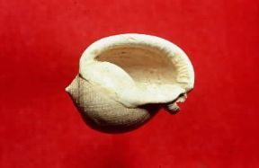 Pliocene. Gasteropode fossile di Semicassis laevigata (Milano, Museo di Storia Naturale).De Agostini Picture Library