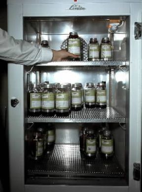 Emoteca. Cella frigorifera di un'emoteca.De Agostini Picture Library/P. Martini