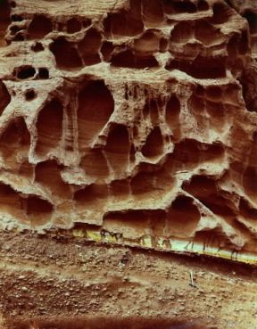 Alveolare. Nicchie di disfacimento e sculture alveolari a Budleigh Salterton, in Gran Bretagna.De Agostini Picture Library