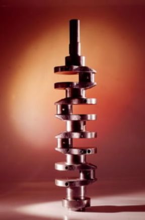 Albero a gomiti.De Agostini Picture Library/A. Rizzi