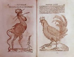 Ulisse Aldovrandi. Pagine illustrate della Historia animalium in un'edizione bolognese del 1681.De Agostini Picture Library