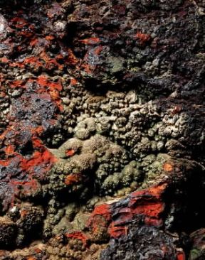 Goethite concrezionata varicolore.De Agostini Picture Library / A. Rizzi