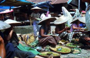 Celebes. Vendita di prodotti agricoli nel mercato di Rantepao.De Agostini Picture Library