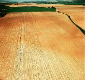Jerez de la Frontera . Una cantina vinicola.De Agostini Picture Library/G. Nimatallah
