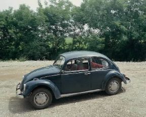 Automobile. Volkswagen Maggiolino.De Agostini Picture Library