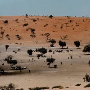 Ciad. La vasta distesa steppica a nord del lago Ciad.De Agostini Picture Library/N. Cirani