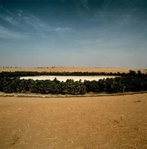 Ciad. Un bacino lacustre nella zona del sahel.De Agostini Picture Library/N. Cirani