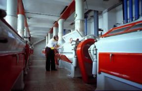Farina. Sala laminatoi, dove si svolgono le prime fasi del ciclo di macinazione: la rottura e lo schiacciamento delle cariossidi.De Agostini Picture Library/C. Visconti