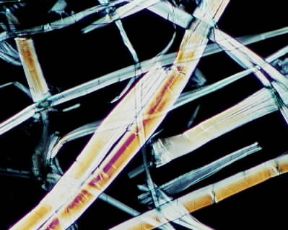 Fibra. Le fibre tessili, suddivise in naturali, artificiali e sintetiche, sono identificabili solo con un esame strumentale: Canapa.De Agostini Picture Library/E. Giovenzana
