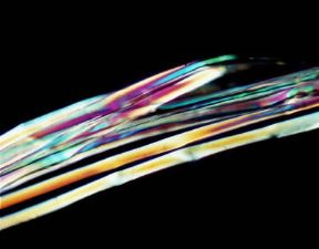 Fibra. Le fibre tessili, suddivise in naturali, artificiali e sintetiche, sono identificabili solo con un esame strumentale: Seta.De Agostini Picture Library/E. Giovenzana