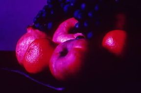 Fotografia. L'immagine riacquista i colori naturali durante lo sviluppo della copia.De Agostini Picture Library/R. Bazzano