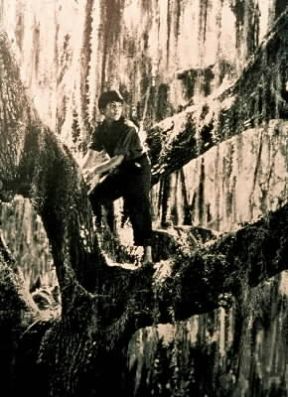 Robert J. Flaherty. Un fotogramma tratto da Louisiana Story (1948).De Agostini Picture Library