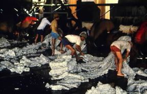 Gomma. Fabbrica di gomma in Indonesia.De Agostini Picture Library / M. Bertinetti