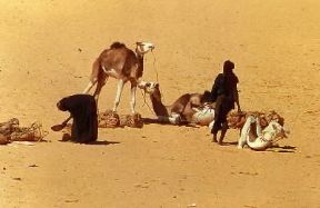Ciad. Nomadi presso l'oasi di Fachi.De Agostini Picture Library/N. Cirani