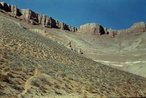 Steppa del deserto di Er-Ojlan-Duz (Turkmenistan).De Agostini Picture Library