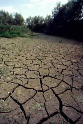 Suolo argilloso.De Agostini Picture Library/G. Prato