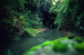 Veio. Veduta del ponte Sodo.De Agostini Picture Library/M. Carrieri