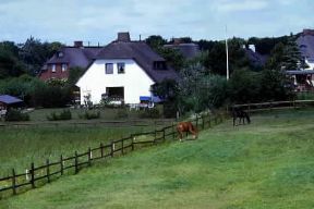 Schleswig-Holstein. Fattorie nell'isola di Sylt.De Agostini Picture Library / M. Finotti