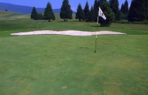 Golf. Una buca segnalata dalla bandierina.De Agostini Picture Library / G. Colliva