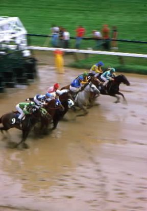 Ippica . La partenza nella corsa Race al galoppo a Saratoga Springs, negli Stati Uniti.De Agostini Picture Library/M. Bertinetti