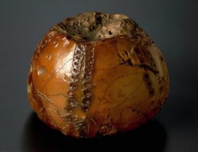 Paleontologia . Testimonianza fossile di Echinoderma.De Agostini Picture Library/G. Cigolini