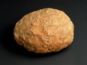 Paleontologia . Uovo di un dinosauro del Cretaceo.De Agostini Picture Library/G. Cigolini