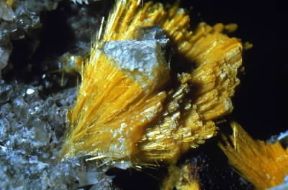 Uranofane. De Agostini Picture Library/C. M. Gramaccioli