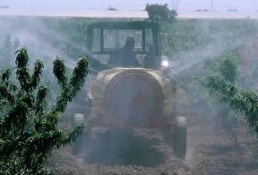Anticrittogamico. Trattamento anticrittogamico effettuato con machine agricole.De Agostini Picture Library/C.Sappa