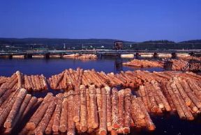 Svezia. Fluitazione del legno.De Agostini Picture Library/T. Ledoux