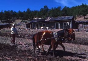 Messico. Un contadino nella zona di Chihuahua; l'agricoltura non ha raggiunto ancora il pieno sviluppo.De Agostini Picture Library/G. SioÃ«n