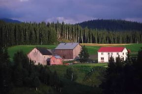 Scandinavia. Tipiche fattorie.De Agostini Picture Library / G. Roli