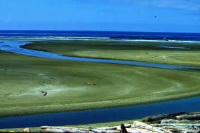 Columbia Britannica . Veduta della costa.De Agostini Picture Library / G. Cappelli