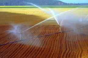 Toscana. Irrigazione di campi nella Maremma di Alberese (Grosseto).De Agostini Picture Library/R. CrocellÃ 